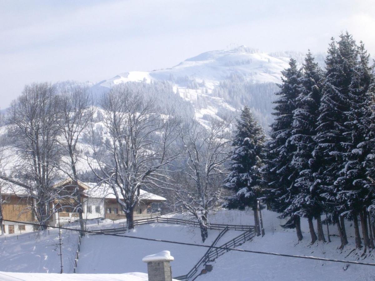 Gaestehaus Roland Aparthotel Kirchberg in Tirol Luaran gambar